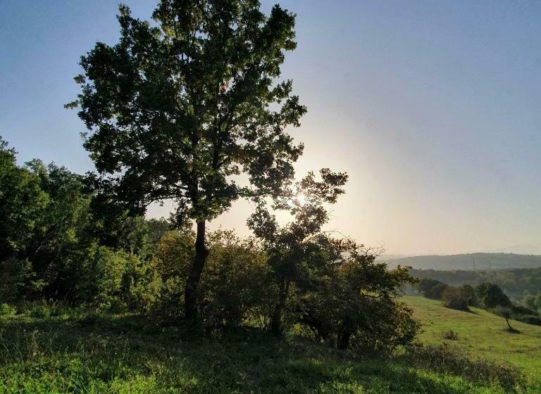 צימר Vinea Del Selvatico Cascina Agricola