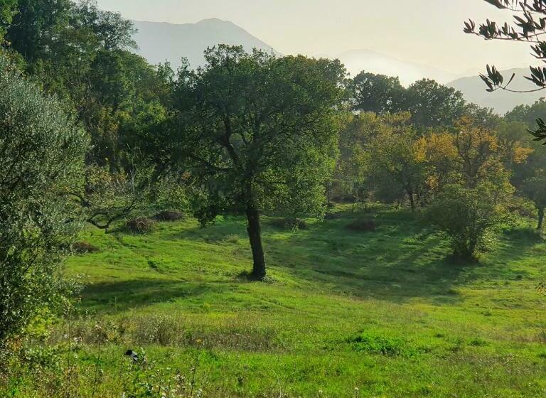 צימר Vinea Del Selvatico Cascina Agricola