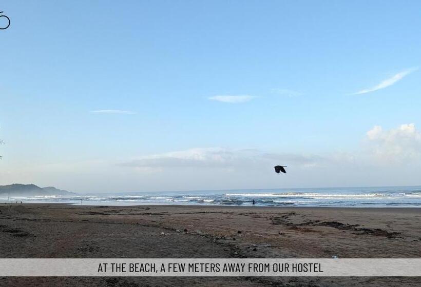 Hostelexp, Gokarna   A Slow Paced Backpackers Community