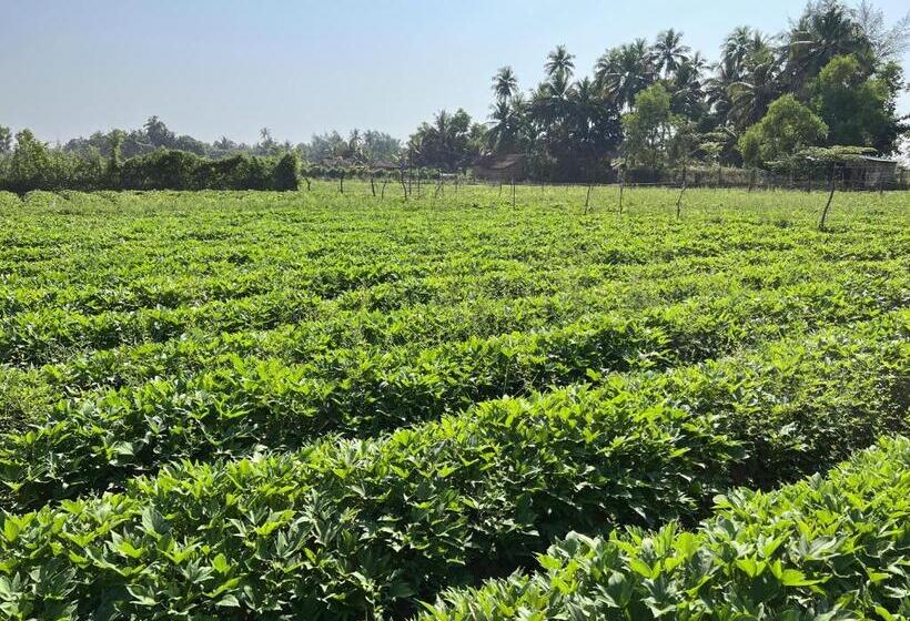 Hostelexp, Gokarna   A Slow Paced Backpackers Community