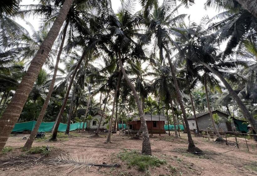 Hostelexp, Gokarna   A Slow Paced Backpackers Community