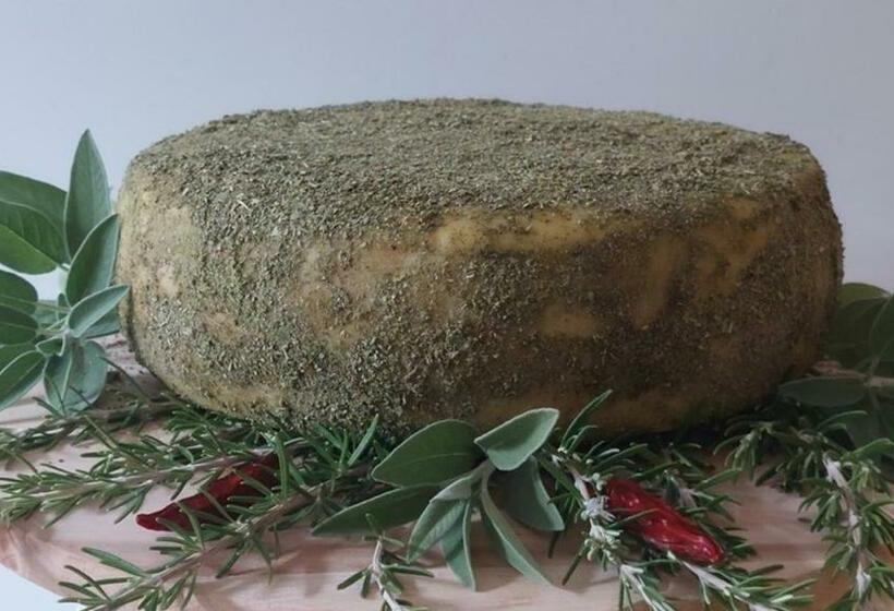 בית מלון כפרי Agriturismo Il Parco