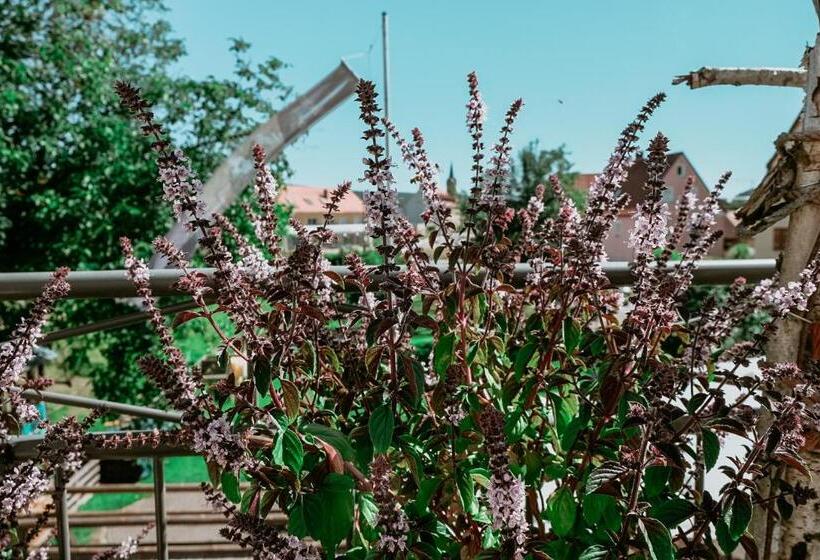 Отель Bayerischer Hof Spalt