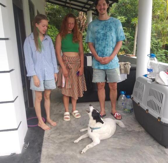 Отель Cozy Resort