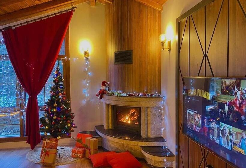 فندق Dd Boutique