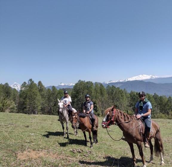 Отель Habitación Establo De Caballos
