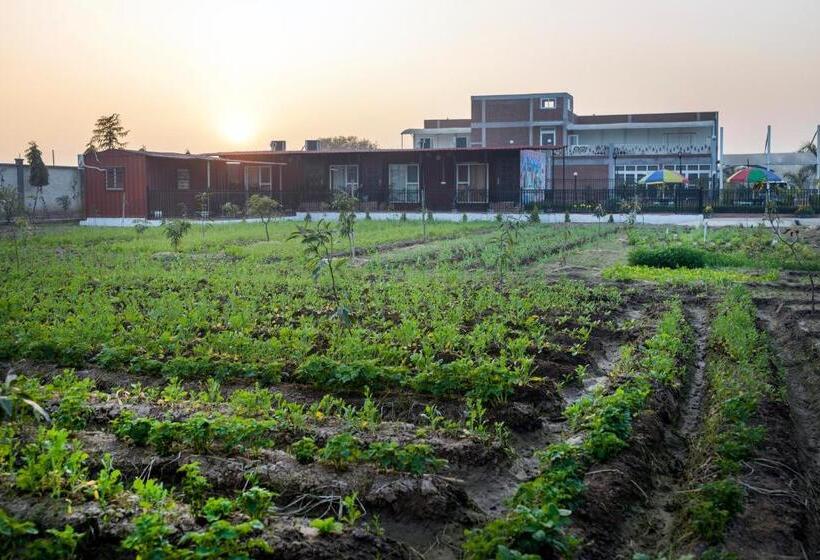 فندق Innbox Farmstay   Rajpura Punjab