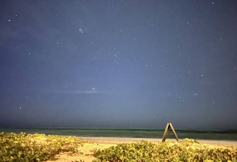 ホテル Kivuli Beach Resort Paje