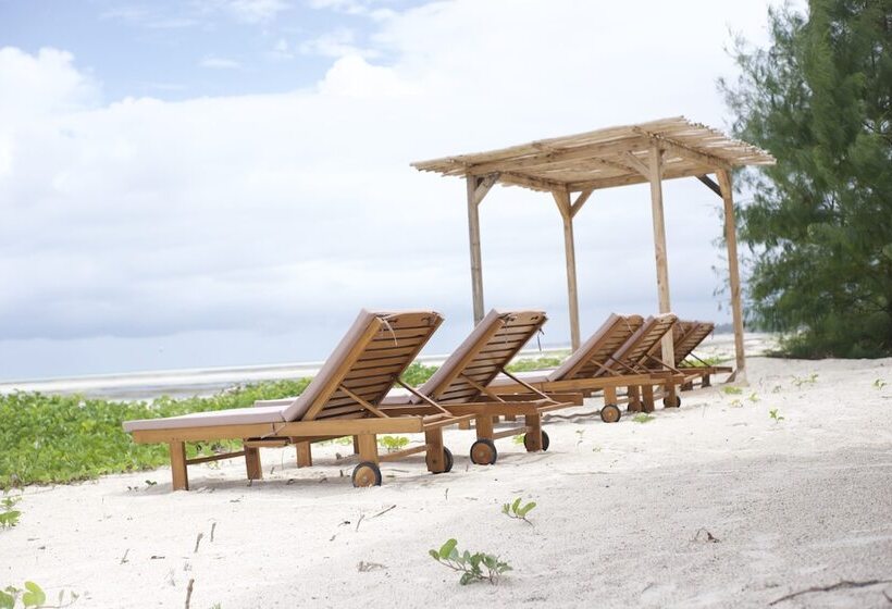ホテル Kivuli Beach Resort Paje