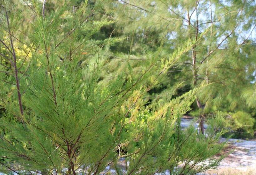 فندق Kivuli Beach Resort Paje