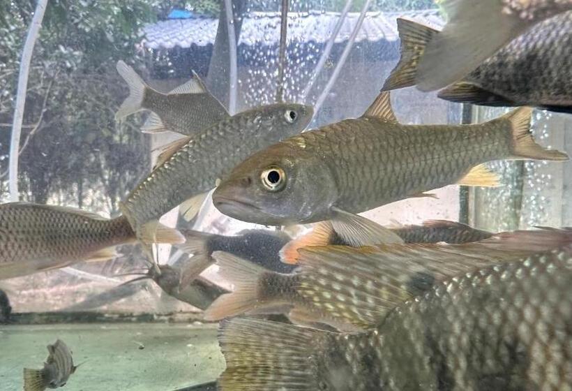 Otel Lanshan Moon Resort