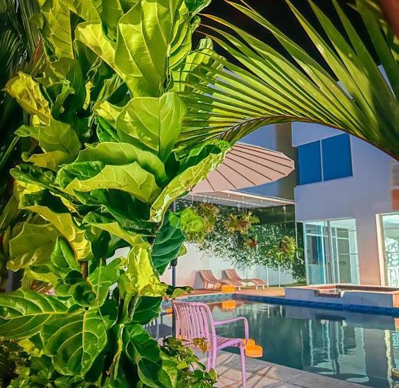 Отель Lotto Boutique