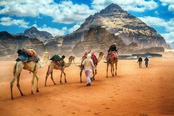 هتل Maestro Camp Wadi Rum