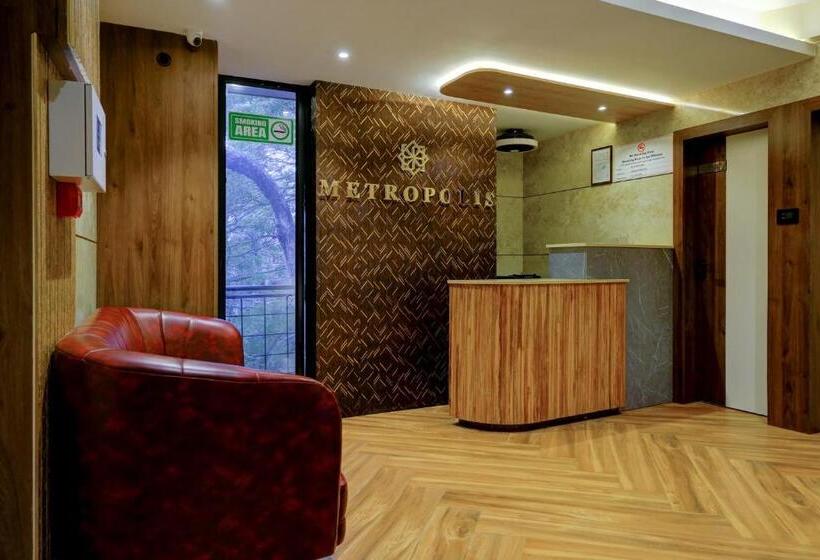 בית מלון כפרי Metropolis Business