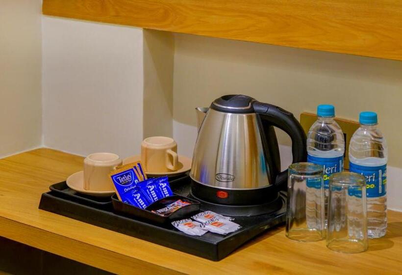 בית מלון כפרי Metropolis Business