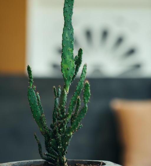 호텔 The Yard Hiriketiya