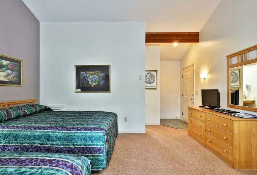 בית מלון כפרי Two Double Bed Standard  Room 219