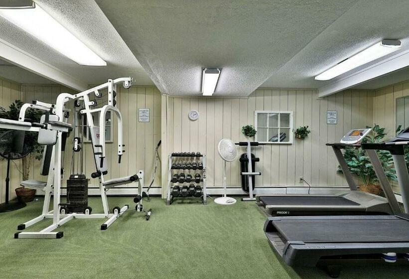 בית מלון כפרי Two Double Bed Standard  Room 219