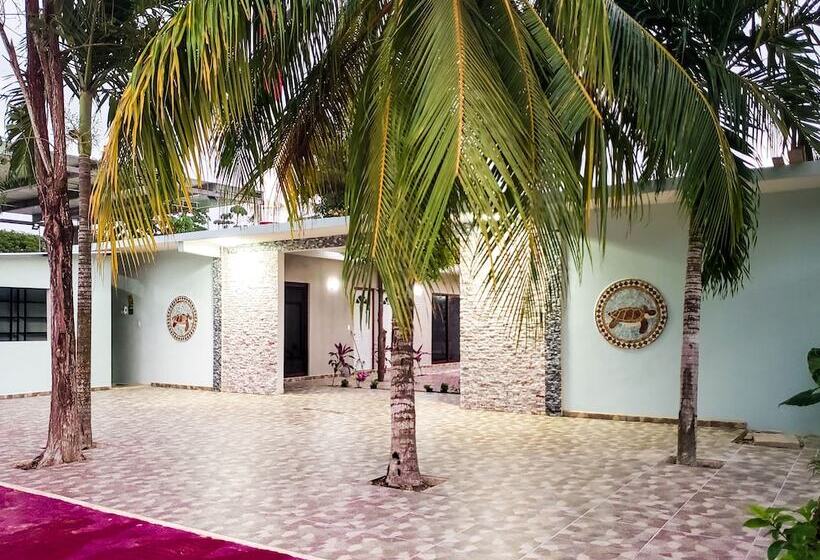 בית מלון כפרי Blue Turtle