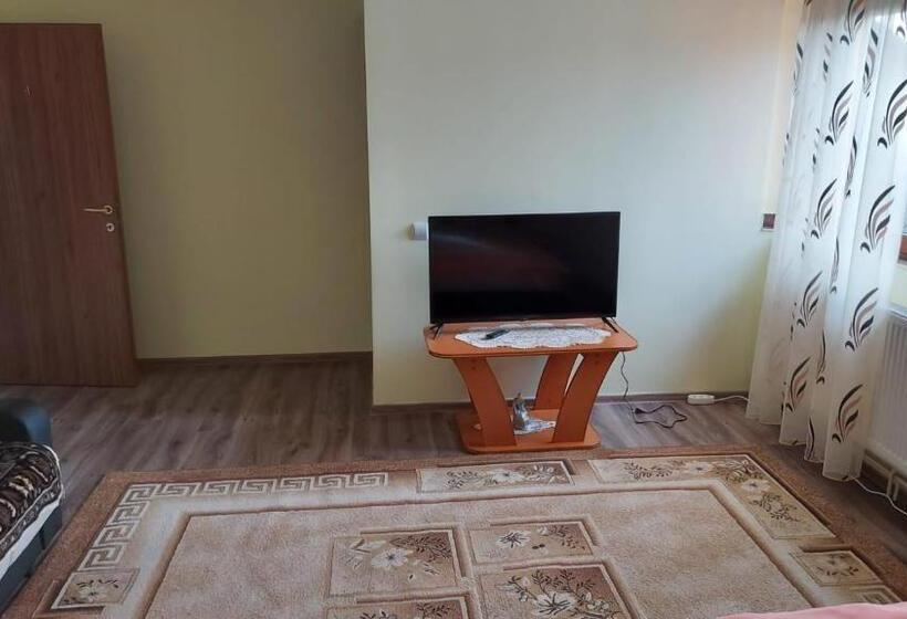 ペンション Casa De Vacanta La Ticu