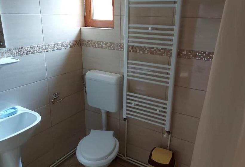 ペンション Casa De Vacanta La Ticu