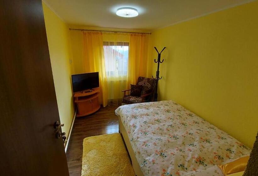 ペンション Casa De Vacanta La Ticu