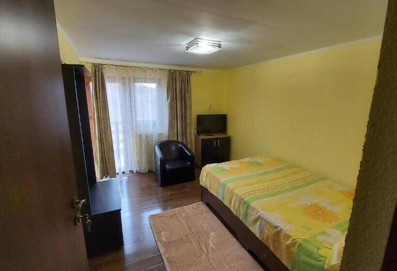 ペンション Casa De Vacanta La Ticu