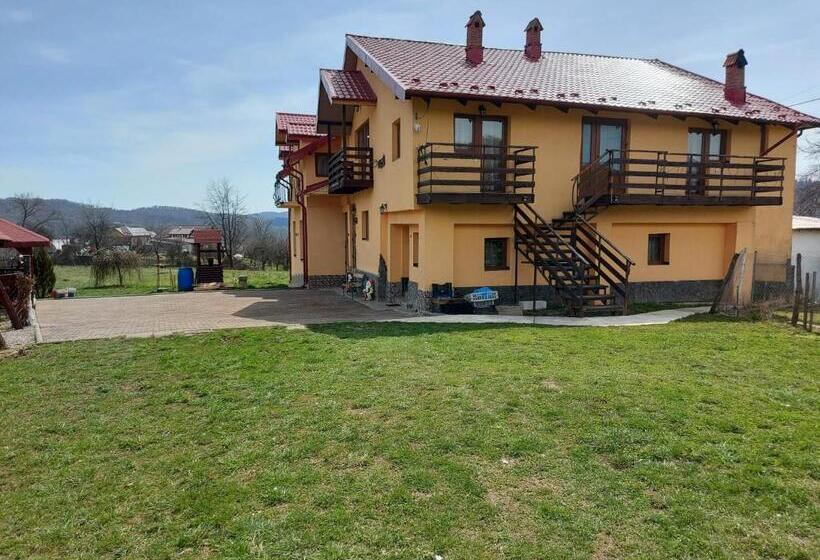 ペンション Casa De Vacanta La Ticu