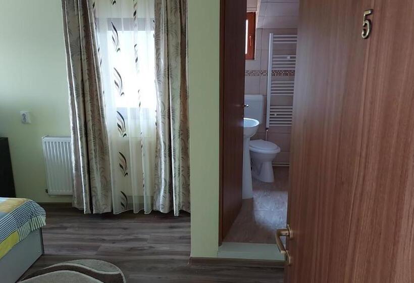 ペンション Casa De Vacanta La Ticu