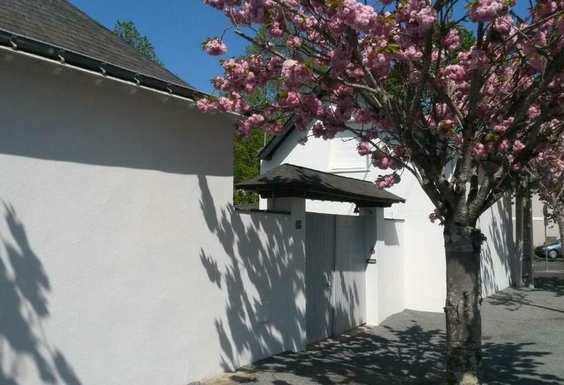 פנסיון Chambre Et Salon Sur La Loire à Vélo