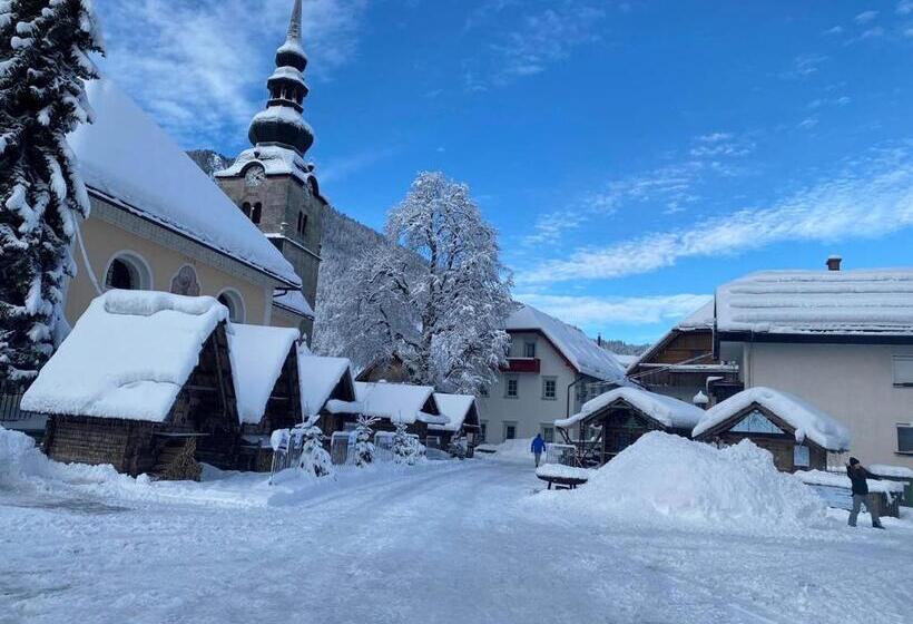 پانسیون Country House Viktor