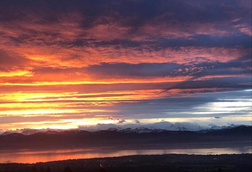 Пансион La Romély