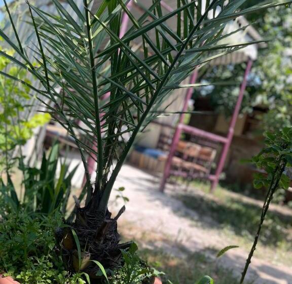 بنسيون Norik Guest House