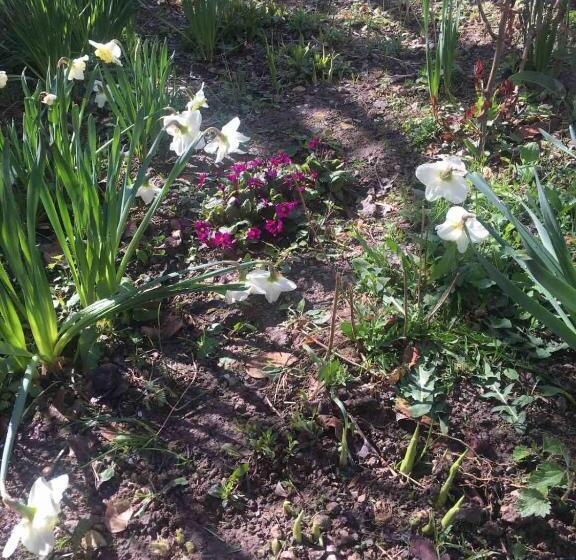 膳宿费 Norik Guest House