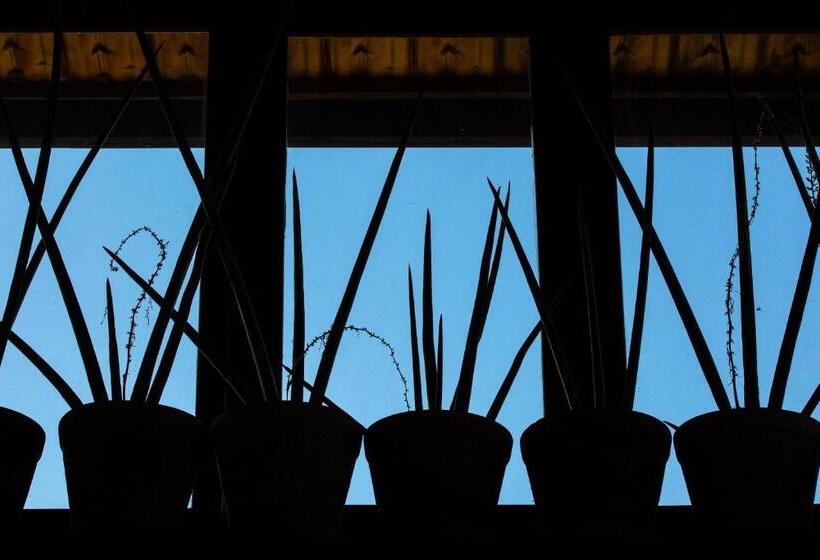 پانسیون O Vilarejo   Lagoa Da Conceição