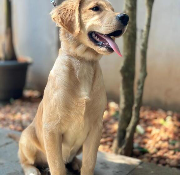 פנסיון The Club House  Swimming Pool That S Better Than The Beach