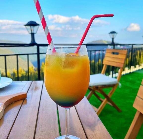 ペンション Vila Belvedere