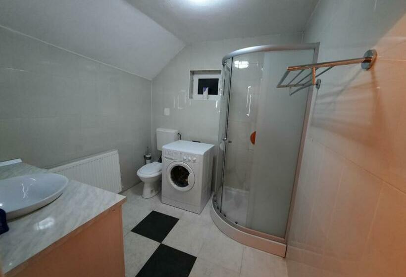 Pensiunea Miorita Vaideeni