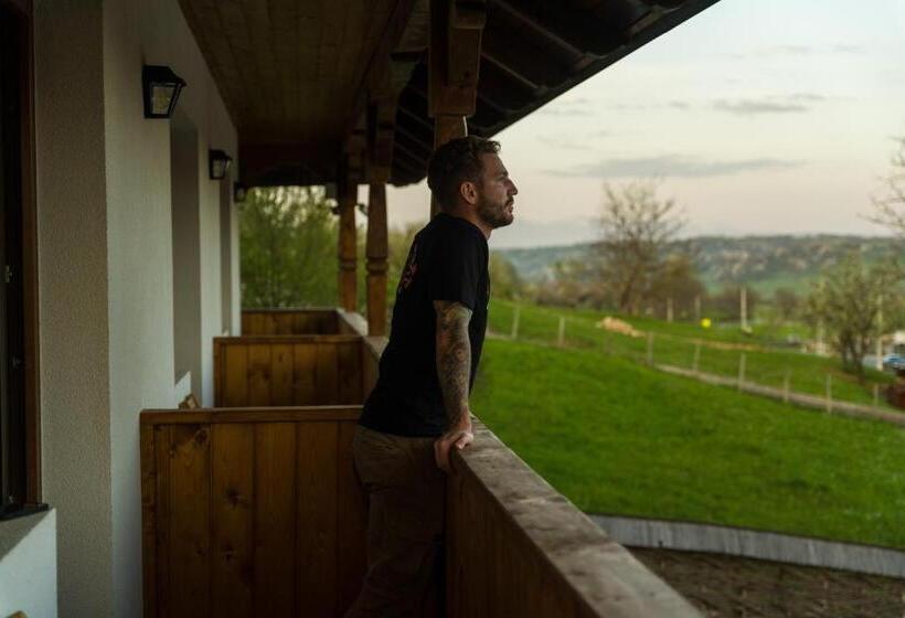 Pensiunea Roca Maramureș