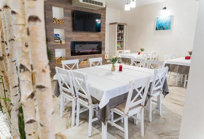 Pensiunea Roca Maramureș