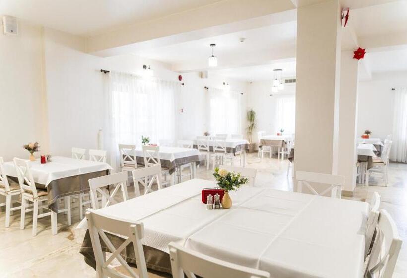 Pensiunea Roca Maramureș