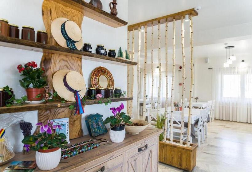 Pensiunea Roca Maramureș