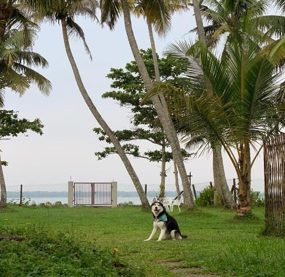 ベッドアンドブレックファースト Ekantha Ala