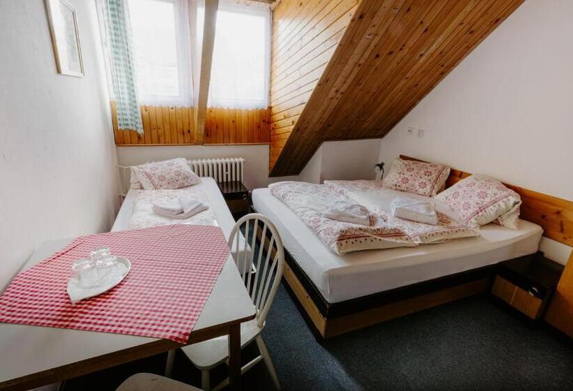 هاستل Penzión Sova