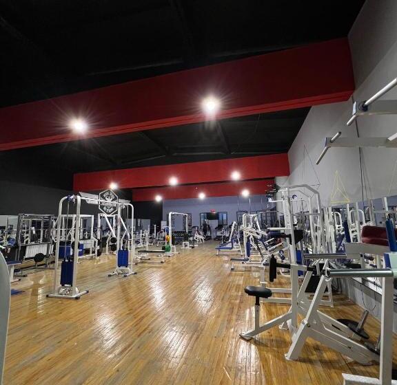 Hotel гостиница селена