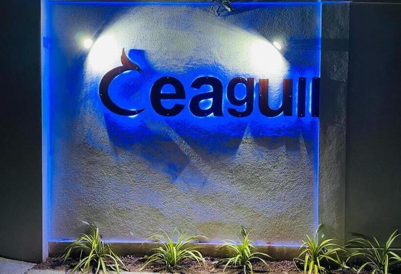 酒店 Ceagull