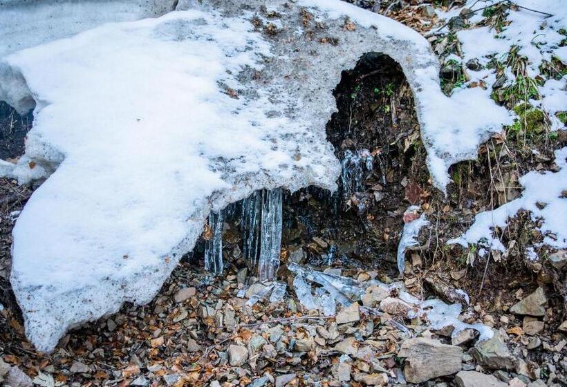 בית מלון כפרי Céline Hôtel Le Miridan