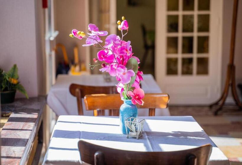 בית מלון כפרי Céline Hôtel Le Miridan