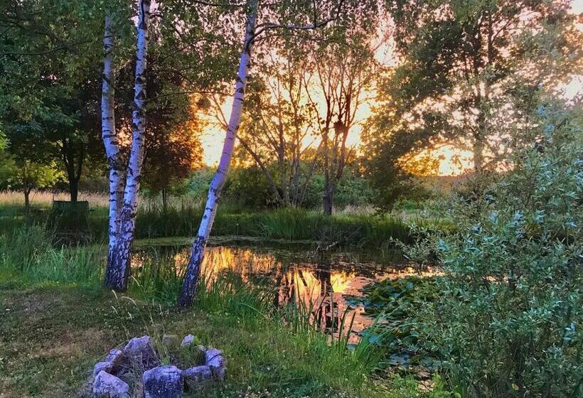 ホテル Domaine De Dadelsen Beautiful Country Estate