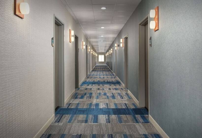 בית מלון כפרי Home2 Suites By Hilton Flower Mound Dallas